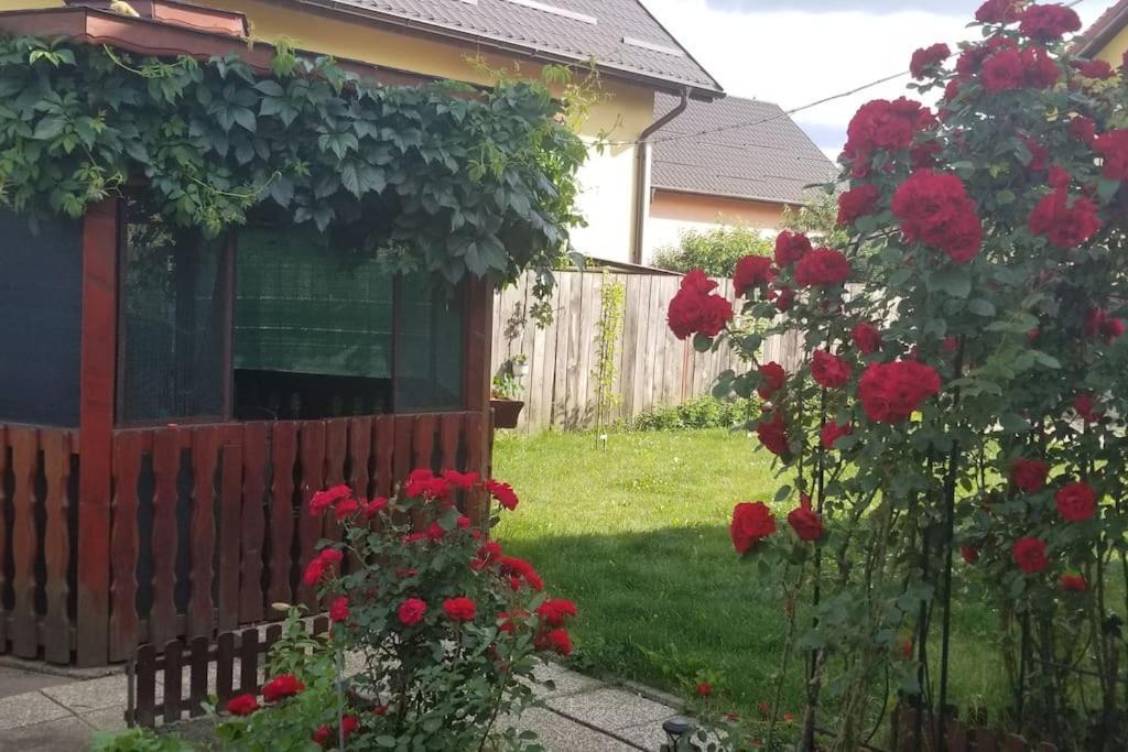 Casa Merilor I & II Brašov Exteriér fotografie